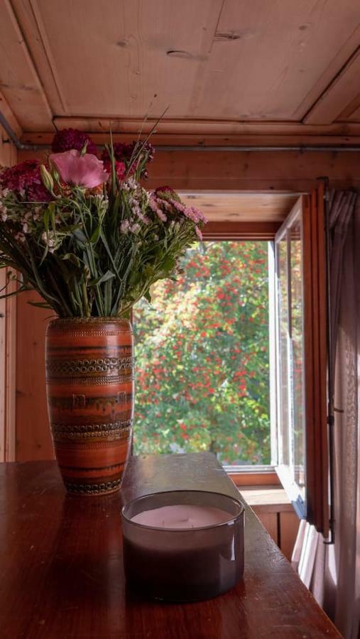 Ferienhaus Septimer Bivio Esterno foto